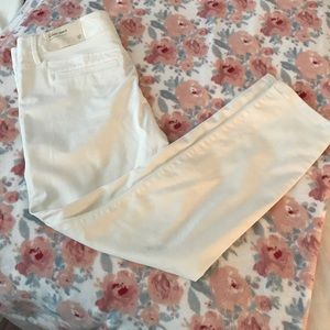 NWT Ann Taylor Loft Pants